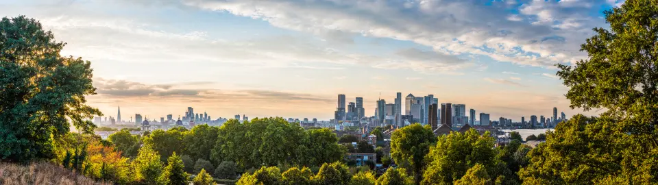 Panoramic view of a city skyline framed by trees, with a clear sky at sunrise or sunset.